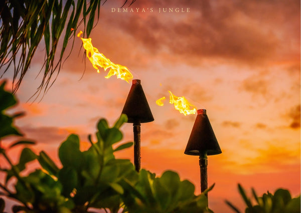 Unlocking the power of positive thinking: Transform your mindset, Transform your life | Demaya’s Jungle & Today I Am Cards